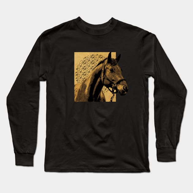 Horse Postcard Long Sleeve T-Shirt by CTShirts